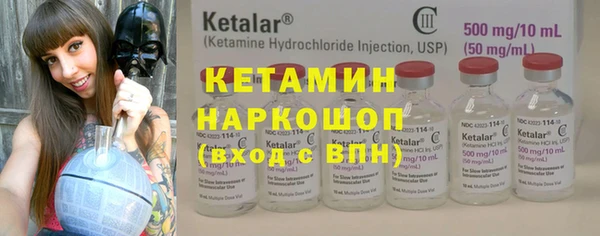 сатива Бронницы