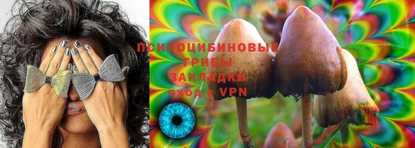 jwh Бородино