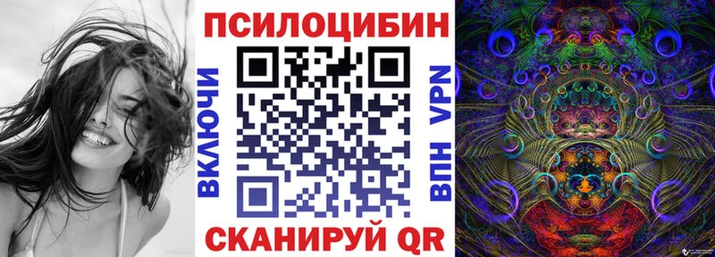 Галлюциногенные грибы Psilocybine cubensis  Новосиль 
